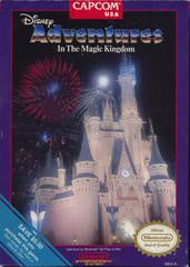 Disney's Adventures In the Magical Kingdom - NES