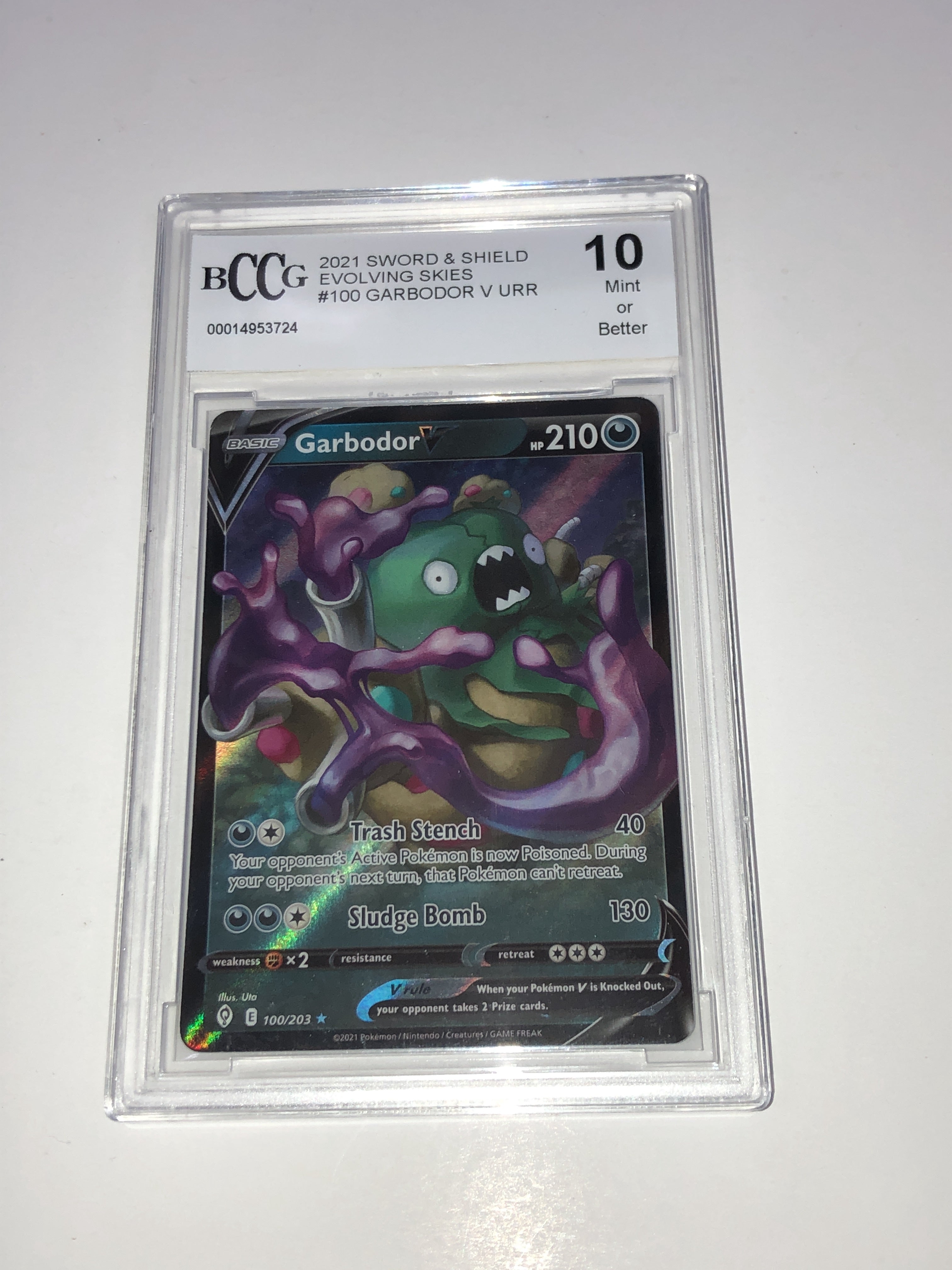 BCCG 10 - 2021 Sword & Shield - #100 Garbodor V URR [14953724]