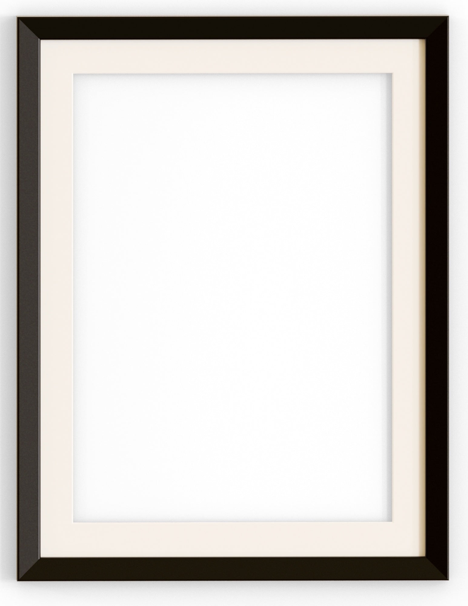 Small Canvas Frame with Mat