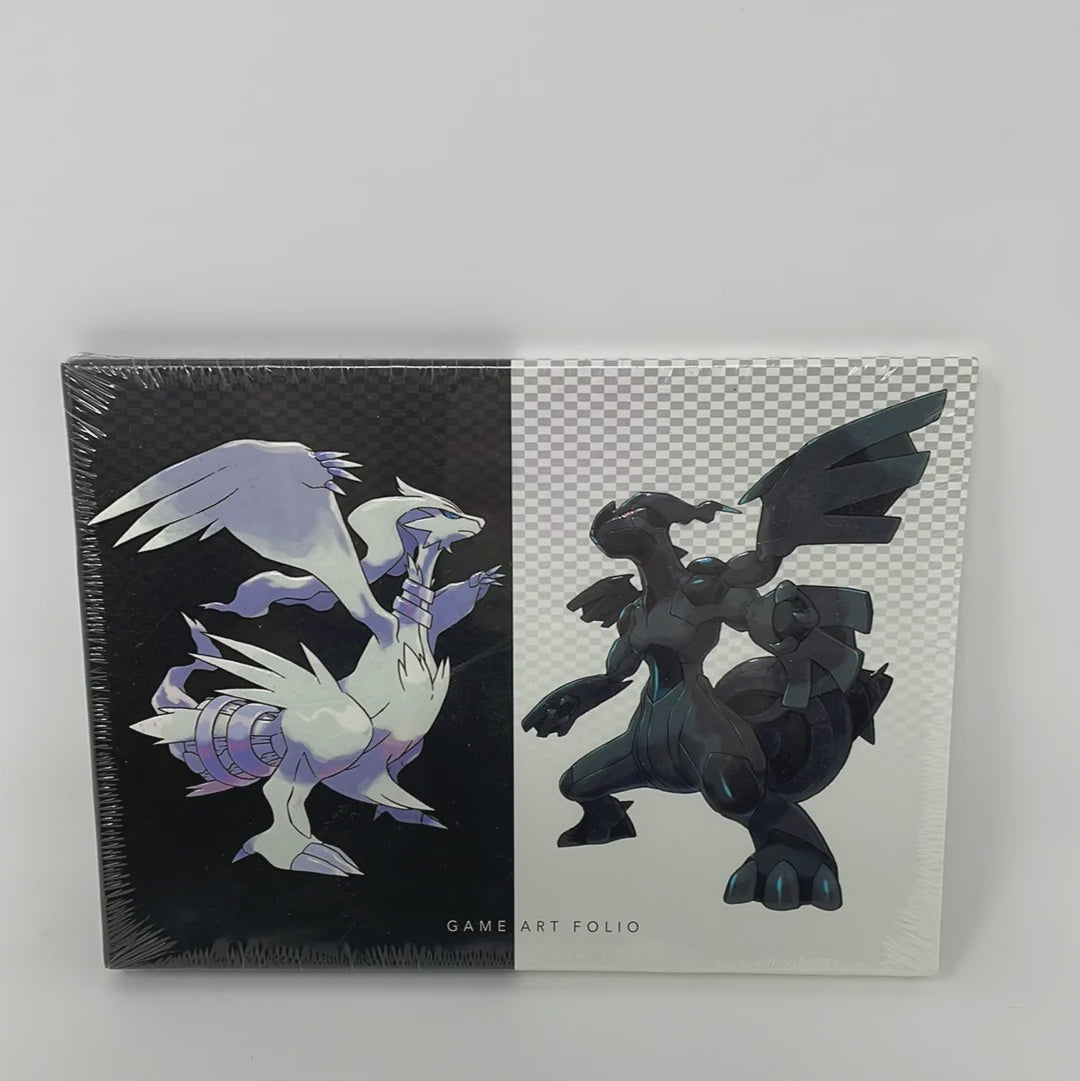 Pokemon Black and White Game Art Folio